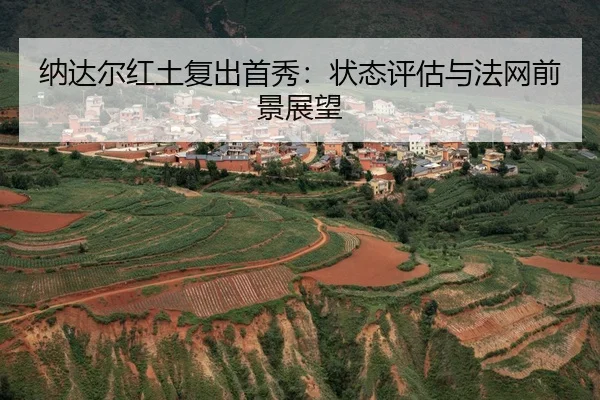 na-da-er-hong-tu-fu-chu-shou-xiu-zhuang-tai-ping-gu-yu-fa-wang-qian-jing-zhan-wang-3-126.jpg