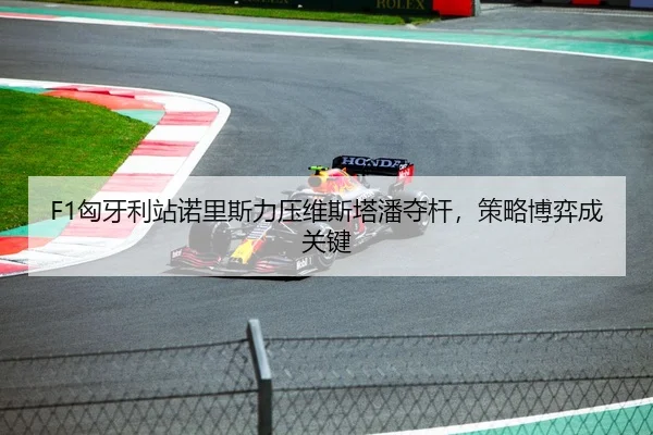 F1匈牙利站诺里斯力压维斯塔潘夺杆，策略博弈成关键