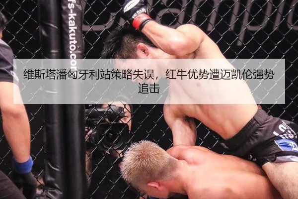 维斯塔潘匈牙利站策略失误，红牛优势遭迈凯伦强势追击